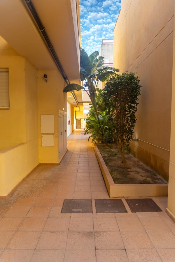Sereno en Caños: Terraza, piscina y playa — foto 20