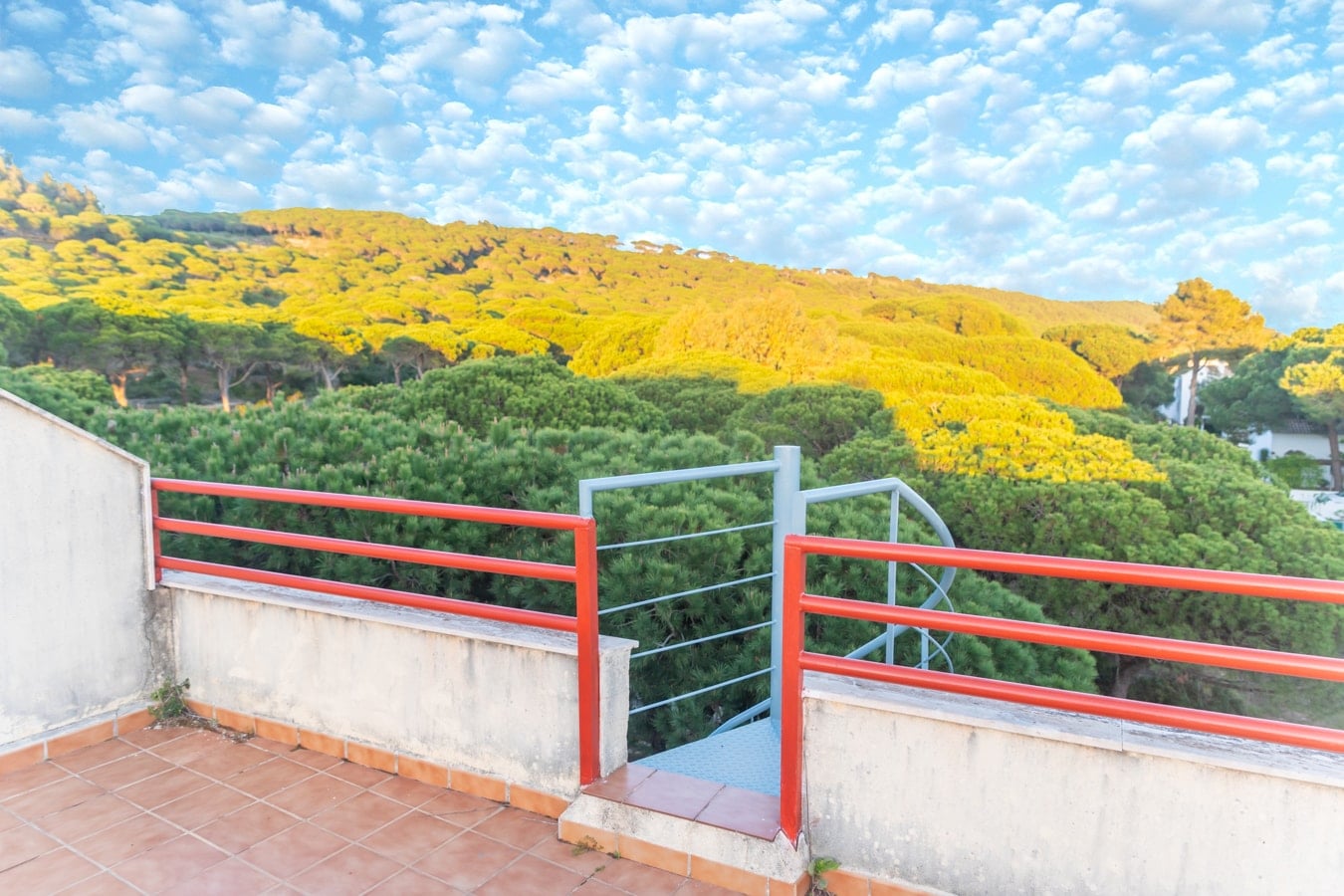 Sereno en Caños: Terraza, piscina y playa — foto 18