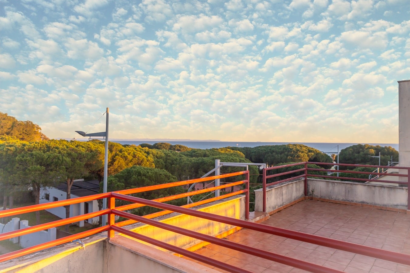 Sereno en Caños: Terraza, piscina y playa — foto 14