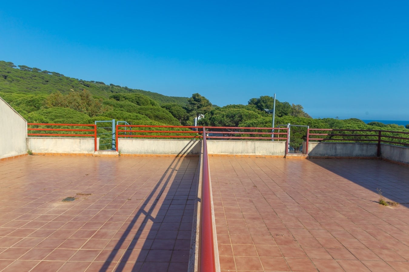 Sereno en Caños: Terraza, piscina y playa — foto 21