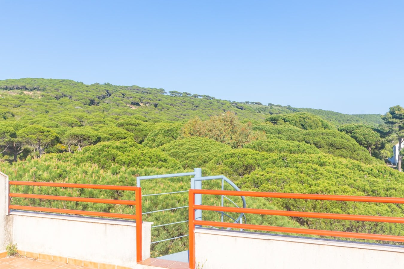 Terraza con brisa marina en Caños de Meca — foto 19