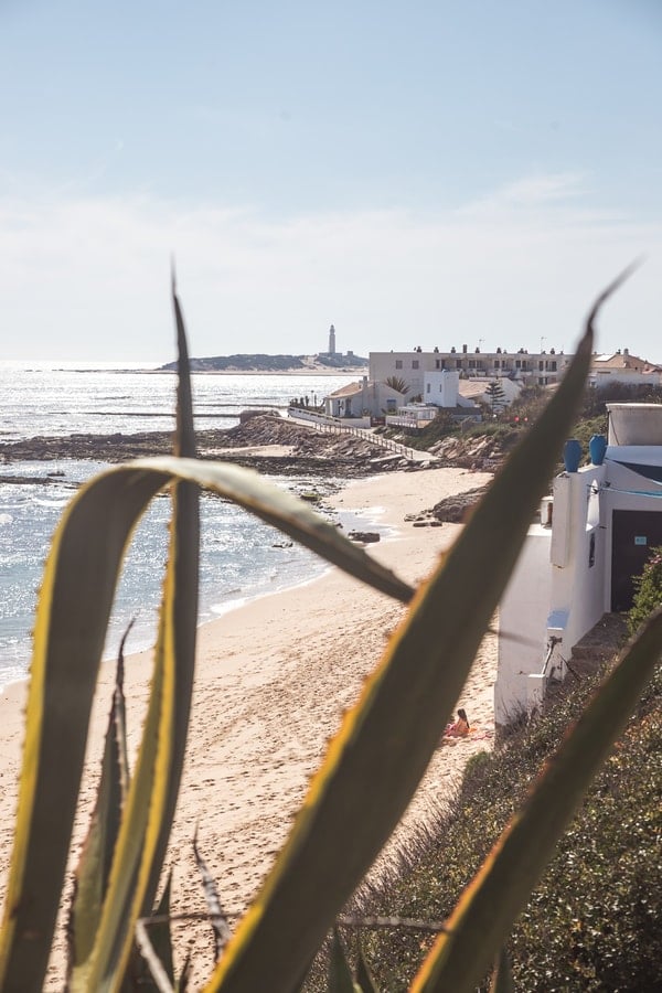 Sereno en Caños: Terraza, piscina y playa — foto 25