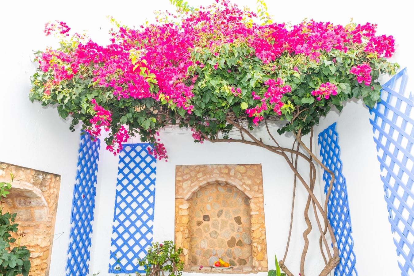 Casa Marinero: Patio andaluz en pleno Barbate — foto 19