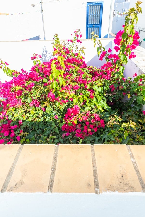 Casa Marinero: Patio andaluz en pleno Barbate — foto 25