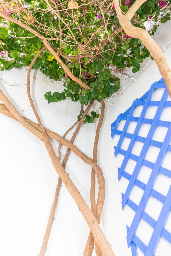 Casa Marinero: Patio andaluz en pleno Barbate — foto 8