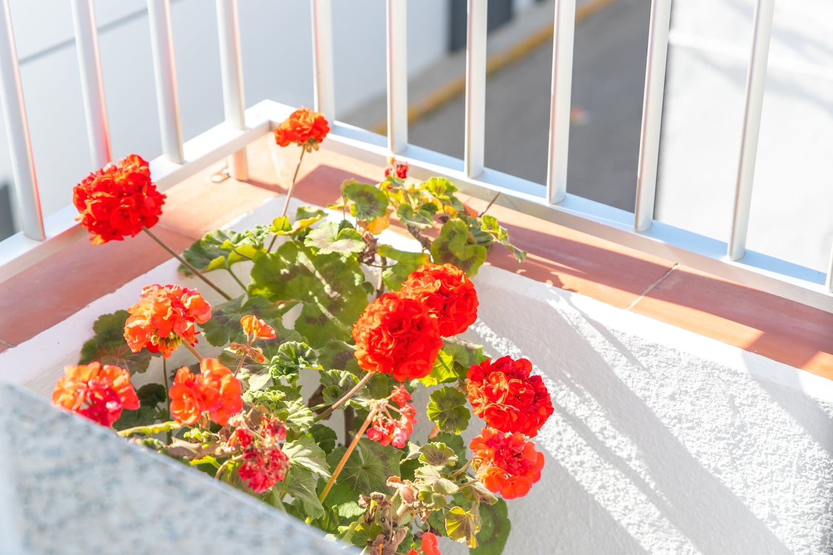 Casa Maria Luisa II: Terraza Soleada con Vistas — foto 23