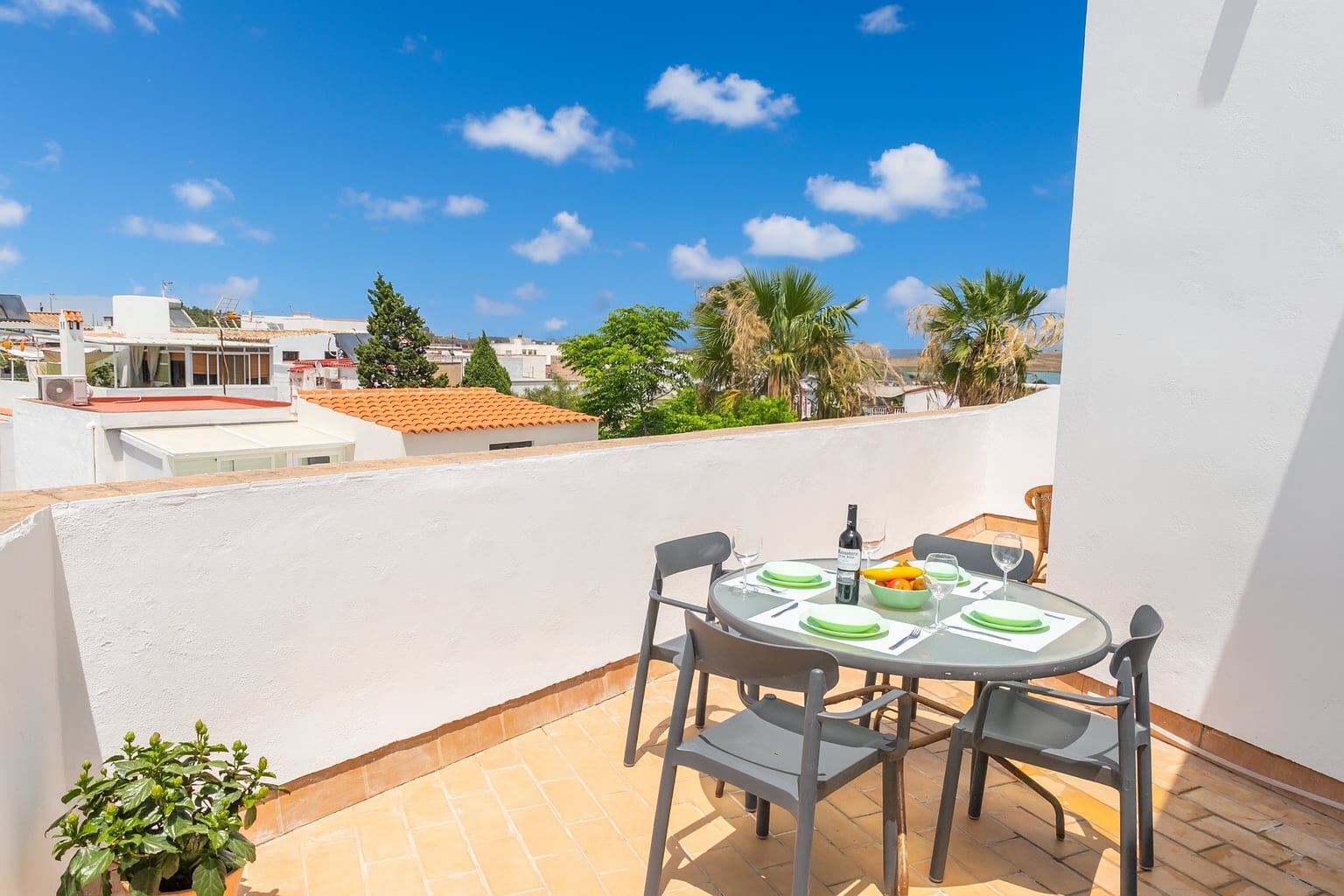 Ático con terraza y vistas a la marisma — foto principal
